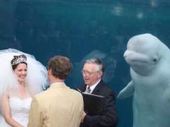 첫커 후기, 그런데 맞관성사를 곁들인