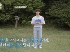 세븐틴 디노 사주