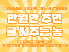 만원만 주면 글 써주는놈