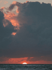 in the name of authenticity