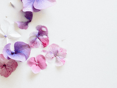 남혼(男婚) 外外