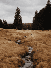 나도 황제가 되고싶다