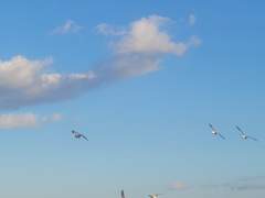 # 비 이야기(장면이 있는 주저리)