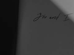 오늘도 불가피하게 당신을 사랑한다