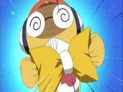 프리마지 마캐 소개