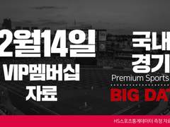 12월 14일 VIP프리미엄멤버십 국내