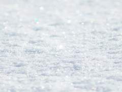 [화산귀환 / 이설 / 청명] 인어귀환 -下- (마지막 편)