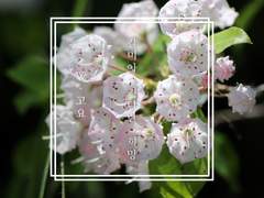 박문대 생일 합작