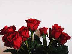 이 자식... 꽤 괴짜라니까?