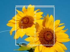 박문대 생일 합작