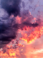 [가히리] 히바츠나