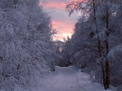 바랜 하늘은 푸른빛을 띈다