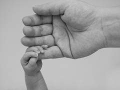 몽상의 경계(夢想の境界)