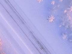 선우 현 18 XY 마술부