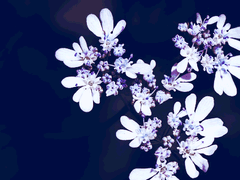 사랑만이 우리를 구원할지니!