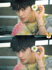 꽃집의 고양이는 예뻐요