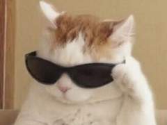 한국 미대 입시를 하는 수험생을 위한 안내서 0