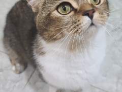 인생에서 잘한일 10위안에드는썰 추가