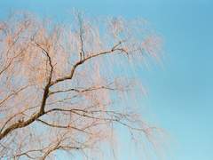 이정도는 누구나 버티는 일 아닐까? 2