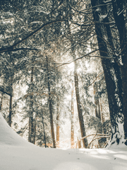 절기록 4장: 대설- 눈 아플만치 내리는 눈