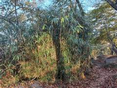 다 토해버리세요!