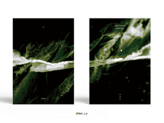 320. GREEN-EYED MONSTER