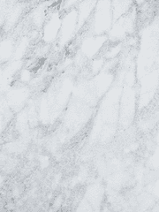 20대 스타트업 도전기