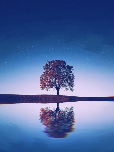 국장하멜 망상 2