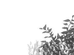 그런 얘기가 있다.