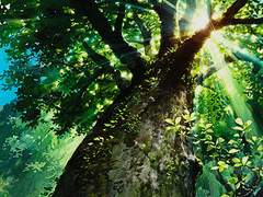 사아야 아야메_XX_1학년