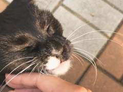 [까미쁘니] 후기