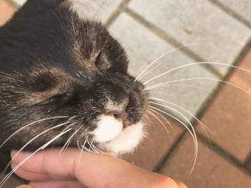 [까미쁘니] 후기