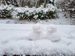 눈이 쌓였어요 :)