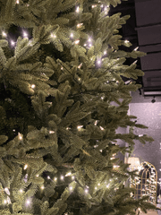 아빠를 신고했다