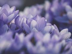 카페인과다복용