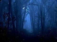 [아르테온 벨루안 | 인간]