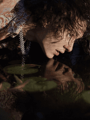 나르키소스의 여인, 투영