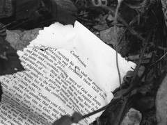 [아키네스] 봄의 고해