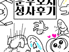 운우호시 성사후기