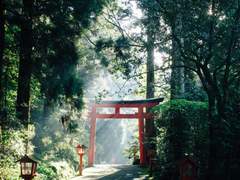 고헤이를 든 그 남자아이.