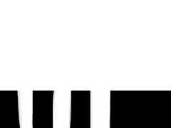 2월 17일 금요일