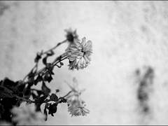 그 신념을 믿어보죠.