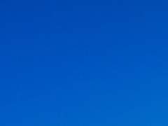 우리가 생존자야?