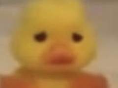 병아리 가이드 3화