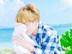 안녕, 나의 삼색고양이 <16>