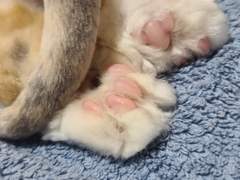 귀신, 도깨비, 무당 썰