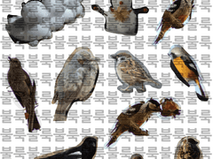 [굿노트 스티커] 사진 스티커_2