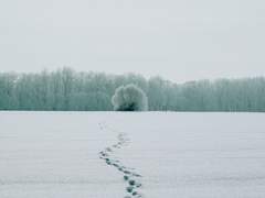 [로우루] 취중진담