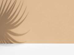 라테를 마시면 고양이가 되나요?