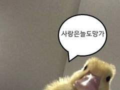 유현예림 캠헤 어쩌고 썰백업 1